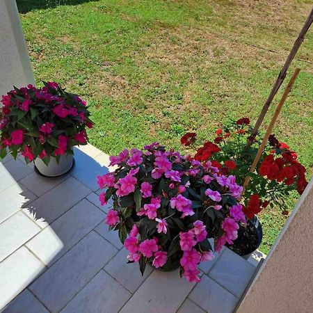 Apartmani Danica Vodnjan Bagian luar foto
