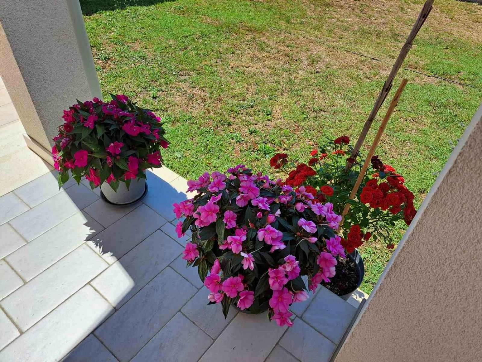 Apartmani Danica Vodnjan Bagian luar foto
