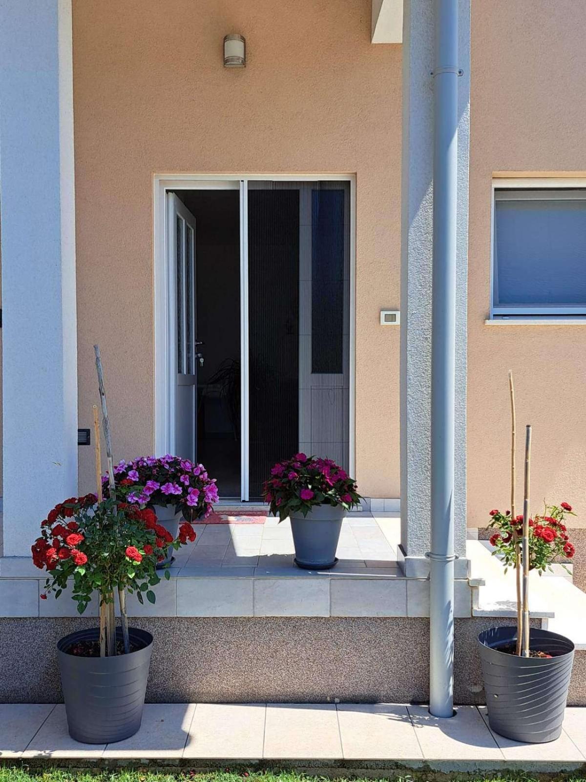 Apartmani Danica Vodnjan Bagian luar foto